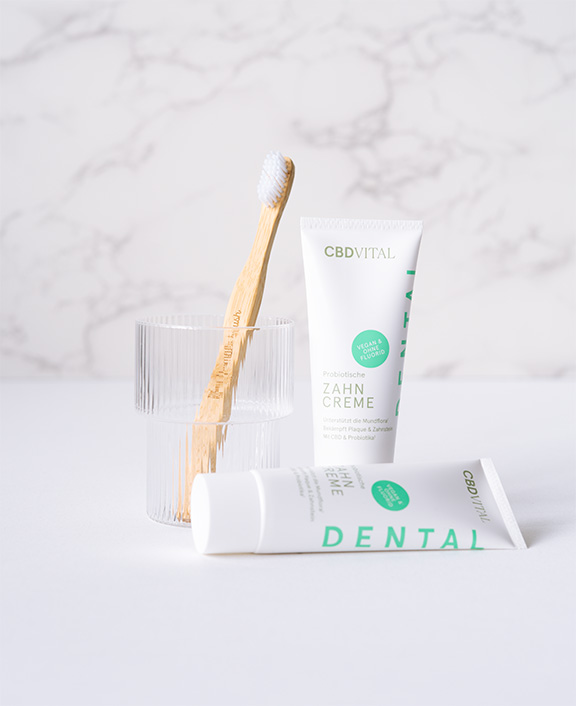 CBD Zahncreme mit Probiotika für empfindliche Zähne und Zahnfleisch CBD Zahncreme mit Probiotika für empfindliche Zähne und Zahnfleisch