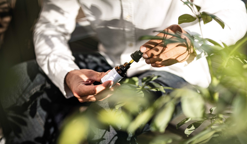 CBD vs. THC – Wo liegt der Unterschied?